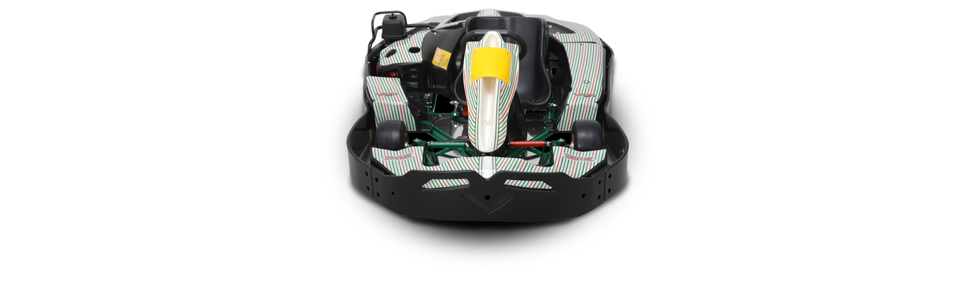 Tony Kart Viper Leihkart
