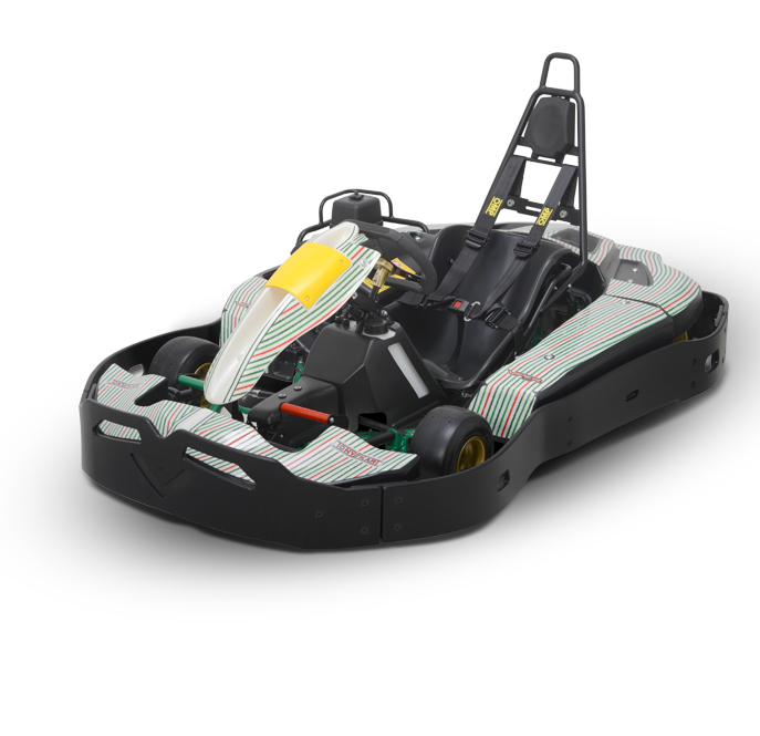 Tony Kart Viper Leihkart im Detail auf der Kartbahn Liedolsheim